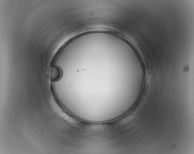 X0000113580843200910091500