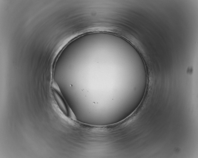 X0000113580844200910091500