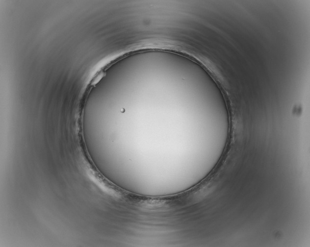 X0000113580846200910091500