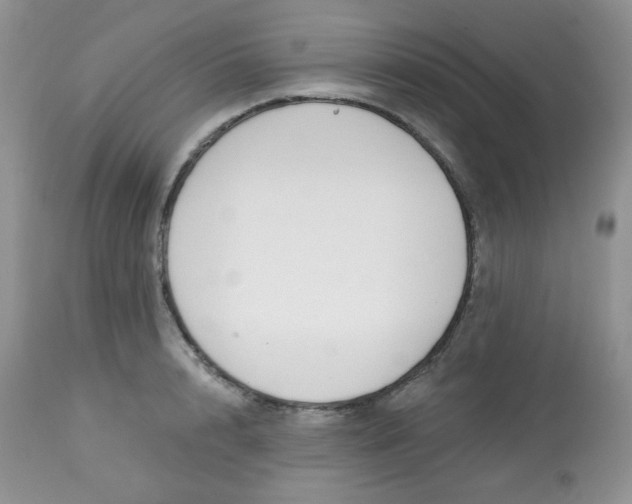 X0000113580848200910091500