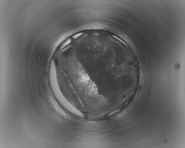 X0000113580850200910091500