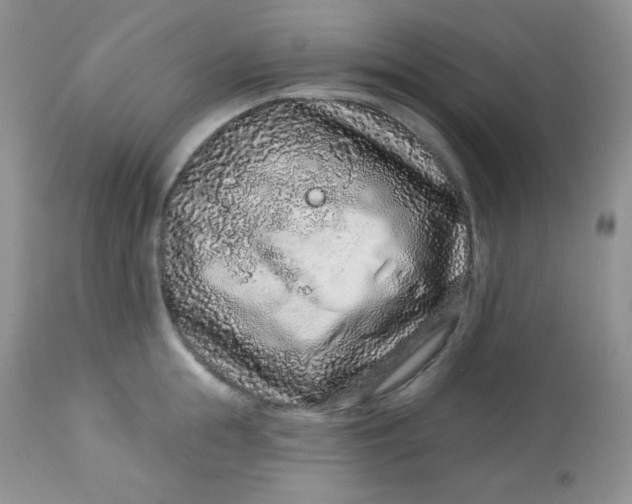 X0000113580855200910091500