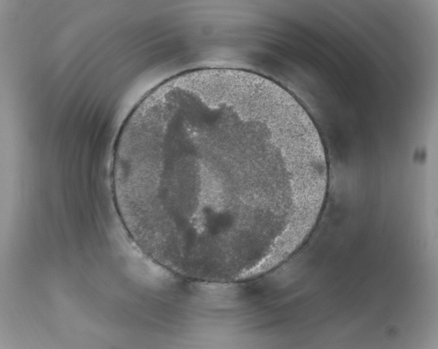 X0000113580856200910091500