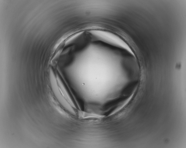 X0000113580858200910091500