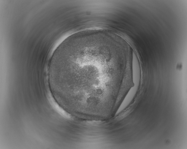 X0000113580859200910091500