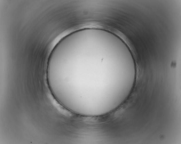 X0000113580861200910091500