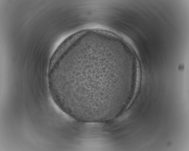 X0000113580863200910091500