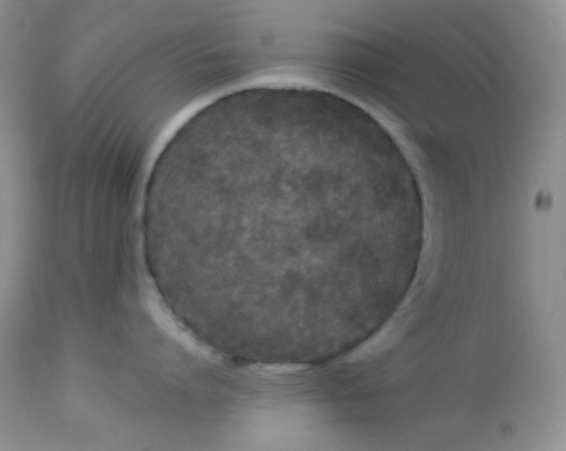 X0000113580864200910091500