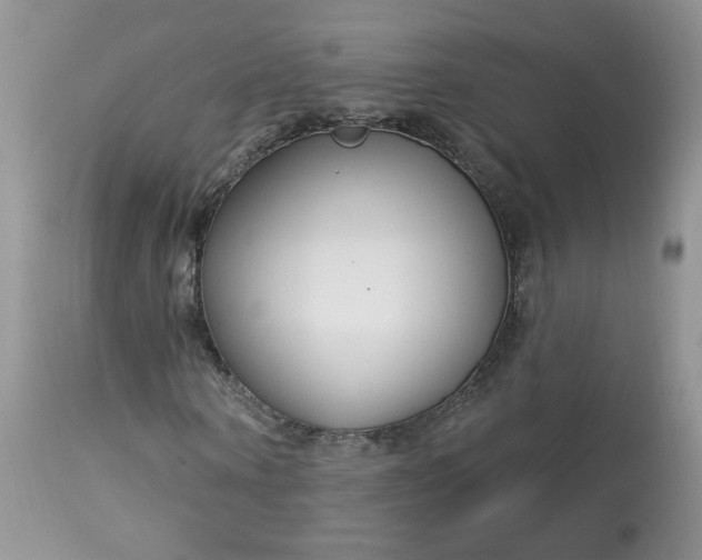 X0000113580866200910091459