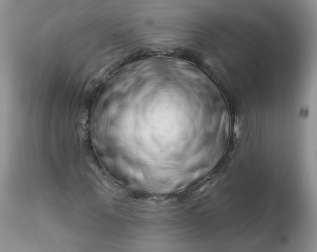 X0000113580867200910091459