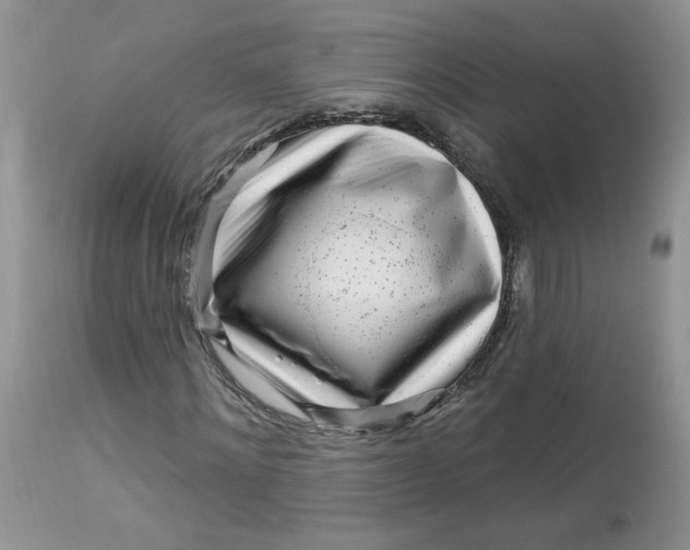 X0000113580868200910091459