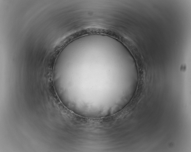 X0000113580870200910091459