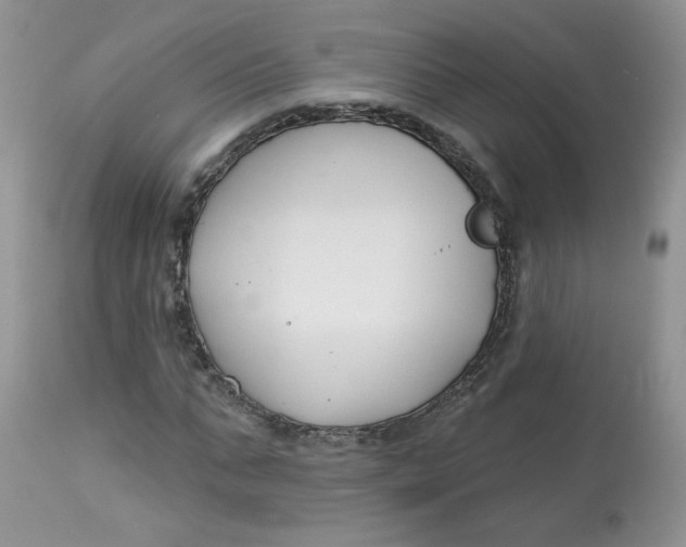 X0000113580871200910091459