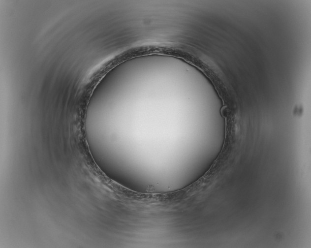 X0000113580872200910091459