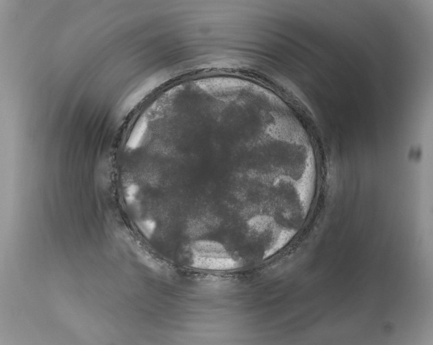 X0000113580874200910091459