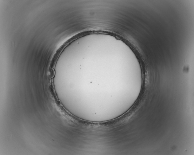 X0000113580876200910091459