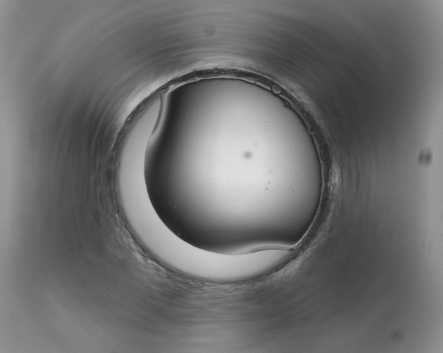 X0000113580877200910091459