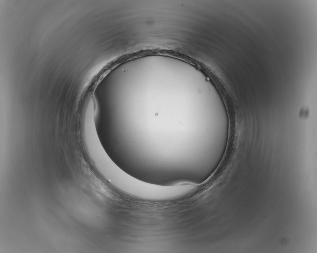 X0000113580878200910091459