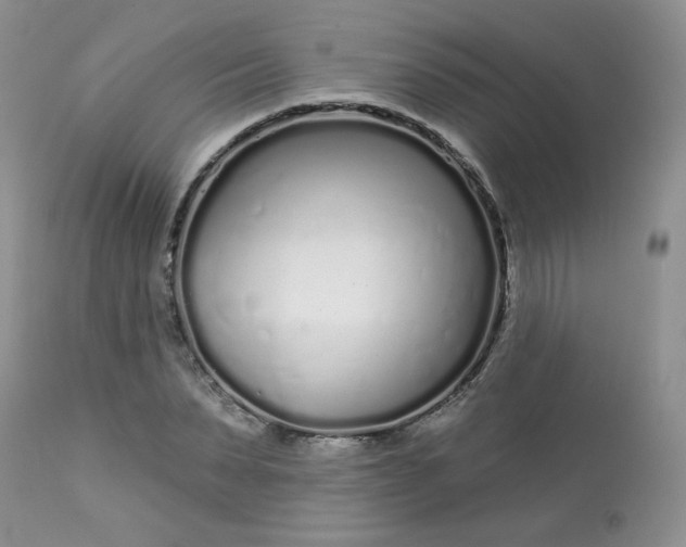 X0000113580879200910091459