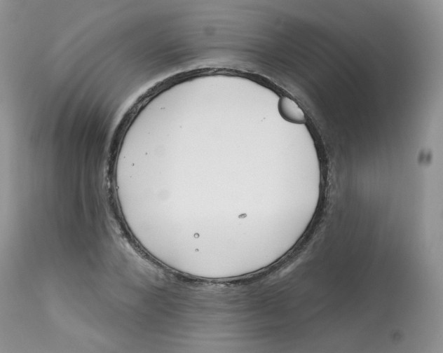 X0000113580880200910091459