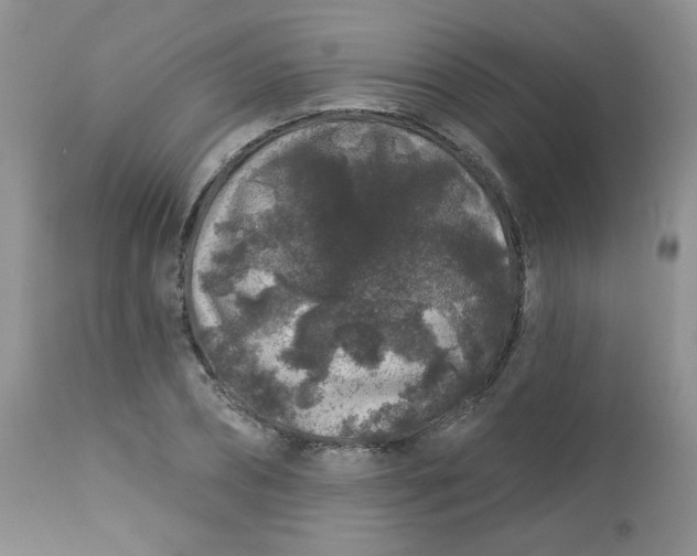 X0000113580882200910091459