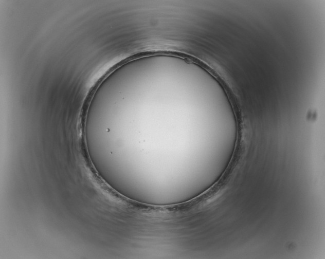 X0000113580885200910091459