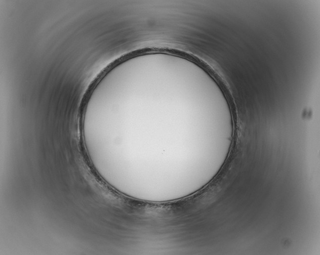 X0000113580887200910091459