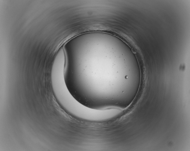 X0000113580889200910091459