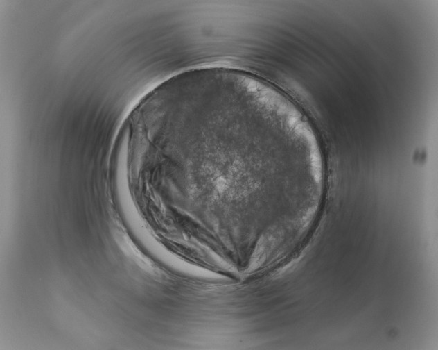 X0000113580892200910091459