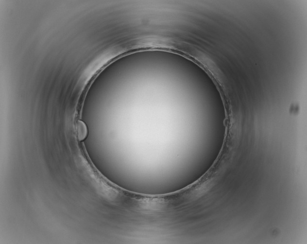 X0000113580893200910091459