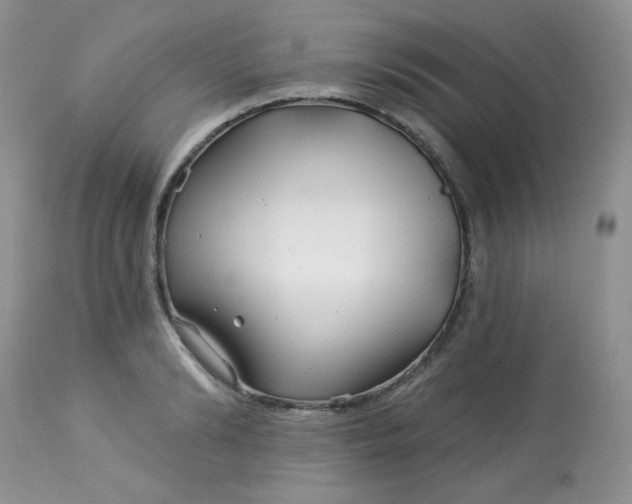 X0000113580894200910091459