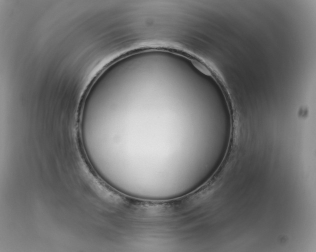 X0000113580895200910091459