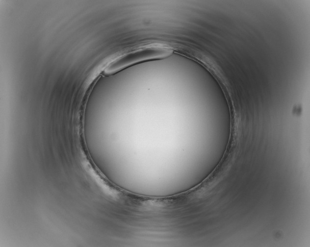 X0000113580898200910091459