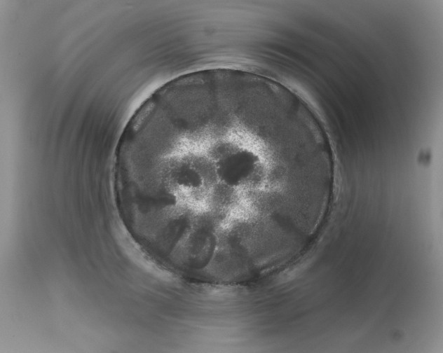 X0000113580899200910091459