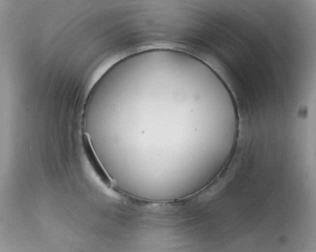 X0000113580906200910091459