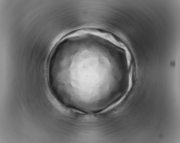 X0000113580907200910091459