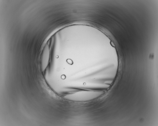 X0000113580908200910091459