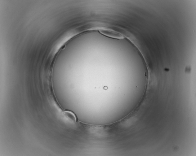 X0000113580909200910091459