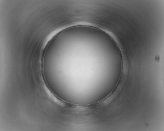 X0000113580910200910091459