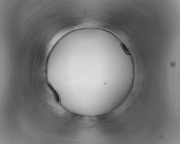 X0000113580912200910091459