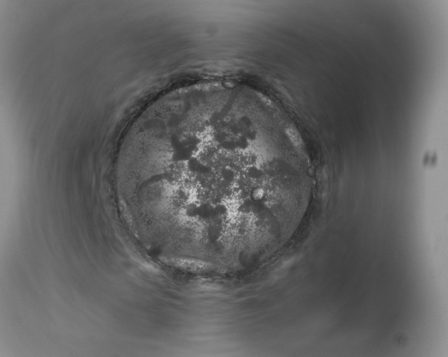 X0000113580913200910091458