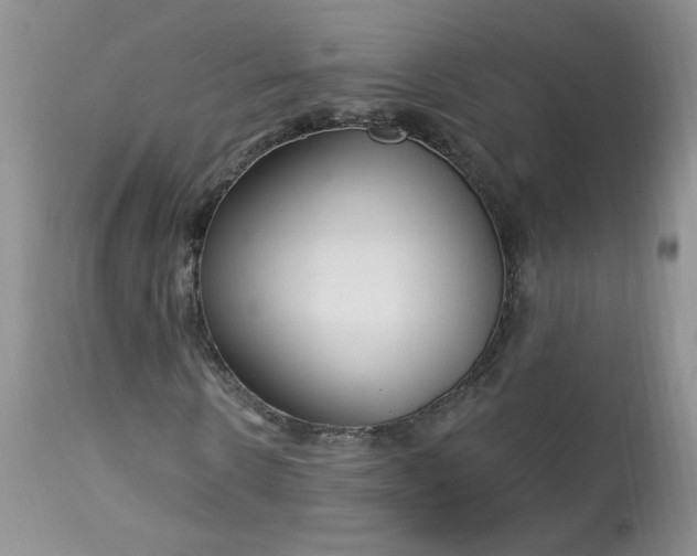 X0000113580914200910091458