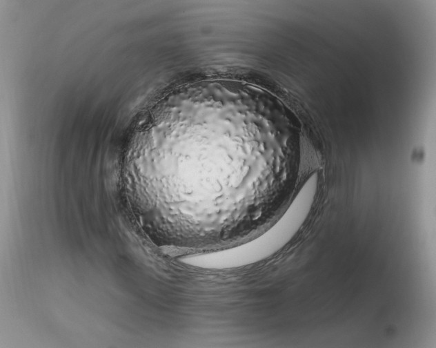 X0000113580915200910091458