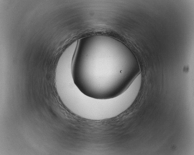 X0000113580916200910091458