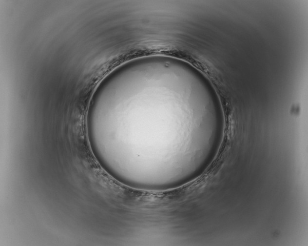 X0000113580917200910091458