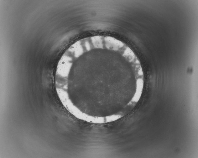 X0000113580918200910091458