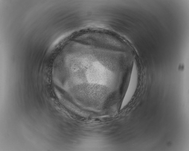 X0000113580919200910091458