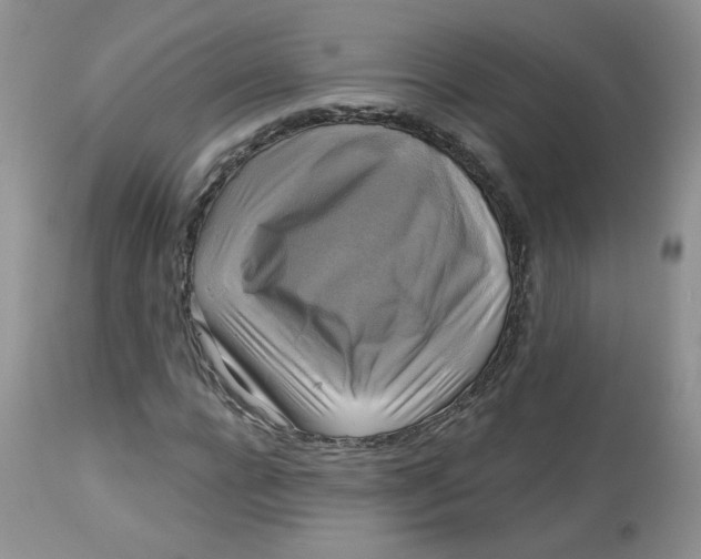 X0000113580920200910091458