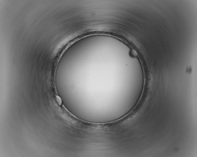 X0000113580922200910091458