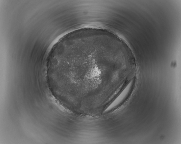 X0000113580923200910091458